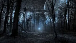 A Floresta de Rendlesham O ‘Roswell Britânico’