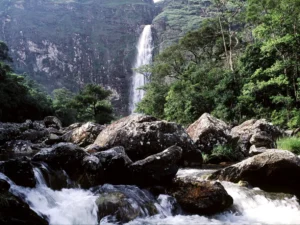 Turismo No Brasil: 10 Destinos Imperdíveis Para Viver Antes de Partir! 5 Parque Nacional da Serra da Canastra, em Minas Gerais