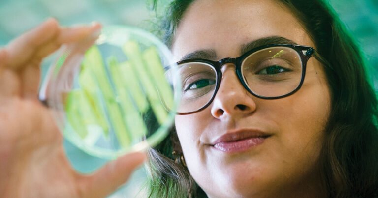 biomaterial cascas maracujá
